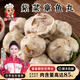 趣十八番潮汕手打紫菜章魚丸汕頭特產(chǎn)魚丸墨魚丸麻辣燙燒烤火鍋食材丸料 紫菜章魚丸【半斤】