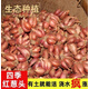 京譽(yù)四季小香蔥紅蔥頭盆栽火蔥四季蔥榨蔥油蔥頭香蔥根苗蔥頭食用本地 1斤裝蔥頭