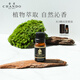 香度香薰精油補(bǔ)充液加濕器香薰機(jī)補(bǔ)充裝香氛持久散香 臨溪烹茶-【春雨清新茶香】推薦