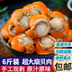 特大號扇貝肉新鮮冷凍扇貝貝類海鮮瑤柱海鮮水產(chǎn) 5斤大號精品扇貝肉