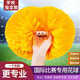 歐之云（Ouzhiyun）啦啦操花球 拉拉隊手搖花學(xué)校運動(dòng)會(huì )健美操舞蹈道具手花 黃色【一個(gè)裝】 4寸【23CM×28CM】
