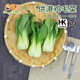東升供港小唐菜300g 油菜  供港蔬菜新鮮配送