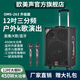 歐美聲 263戶外音響K歌專用帶聲卡一體機(jī)專業(yè)三分頻唱歌大功率便攜式廣場(chǎng)舞藍(lán)牙拉桿音箱帶無(wú)線話筒12寸 12寸/263+2個(gè)話筒+大禮包