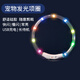 寵星記 狗狗發(fā)光項(xiàng)圈 寵物狗LED燈項(xiàng)圈 USB充電 夜間發(fā)光遛狗項(xiàng)圈 金毛 七彩L碼頸圍25-70cm（可裁剪）