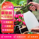 沃施（WORTH）澆花噴壺水壺噴霧器高壓灑水壺園藝工具氣壓酒精消毒霧化噴水壺2L