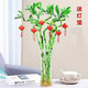 聽雪樓帶根水培轉(zhuǎn)運(yùn)竹富貴竹植物水養(yǎng)彎竹開運(yùn)竹子盆載客廳室內(nèi)綠植 65厘米轉(zhuǎn)運(yùn)竹 10支