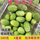 網(wǎng)紅拇指西瓜 佩普基諾迷你小西瓜新鮮水果不常見清甜爆汁125g1盒 2盒 單盒125g