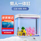 技研精工（JIYJNJINGGONG）魚缸客廳小型家用帶增氧桌面超白玻璃過濾免換水生態(tài)懶人魚缸240