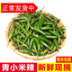 辰實【現(xiàn)貨】新鮮小米辣 青辣椒 特辣辣椒青朝天椒 生小青辣椒 5斤（青小米辣）