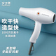 火之鳳吹風(fēng)機(jī)理發(fā)店專(zhuān)用 電吹風(fēng)筒 負(fù)離子2200W大功率發(fā)廊大風(fēng)力速干家用高速恒溫護(hù)發(fā)不傷發(fā)8960 8960象牙白(2200W)