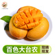 生鮮密語百色臺農(nóng)芒果大芒果大臺芒 小臺芒 百色田東臺農(nóng)芒果現(xiàn)摘廣西特產(chǎn) 8斤【大臺農(nóng)】約13-16個單果250g