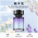 柏岸車(chē)載香薰2025新款汽車(chē)香水車(chē)用香氛車(chē)內用品除異味男士專(zhuān)用高檔女 清新梔子花-160ml【持香1年】 160ml 1瓶