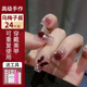 MANsway穿戴甲美甲貼片指甲貼成人甲片中長(zhǎng)款假指甲（烏梅子醬） 24片
