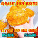 黃金情侶招財(cái)觀賞巴西龜金龜寵物烏龜活物長(zhǎng)壽情侶一對(duì)家養(yǎng)深水 11-13厘米（好養(yǎng)，好看） 情侶一對(duì)（一公一母）