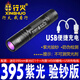 行火（XINGHUO）驗鈔燈筆紫光手電筒驗鈔機(jī)器錢幣玉石鑒定紫外線防偽檢測專用驗錢 驗鈔版：395紫光驗鈔/不能測熒光