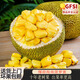 四叔公果蔬（現(xiàn)摘現(xiàn)發(fā)）海南黃肉菠蘿蜜 波羅蜜木菠蘿整個大果 孕婦新鮮水果 新鮮菠蘿蜜 22-25斤