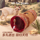 all for pawsafp可折疊貓隧道幼貓貓窩滾地龍貓咪通道貓玩具鉆洞寵物帳篷 印第安貓隧道-棕色/米色隨機(jī)