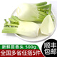 綠食者新鮮茴香頭500g 茴香球甜茴香 茴香菜 西餐料理香料蔬菜