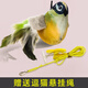 華元寵具（hoopet）逗小貓發(fā)聲小鳥(niǎo)玩具棒自嗨神器幼貓自己玩解悶貓咪磨牙棒貓貓用品 橘綠色小鳥(niǎo)