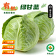 【順豐】有機綠甘藍 圓白菜新大頭菜卷心菜 無農殘新鮮有機蔬菜 1斤
