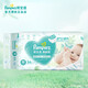 幫寶適清新幫紙尿褲 嬰兒尿褲尿不濕 中號M54片（6-11kg）