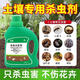 空消（KONGXIAO） 植物花卉殺蟲(chóng)土壤除蟲(chóng)劑植物盆栽多肉通用殺蟲(chóng)殺卵害蟲(chóng)浸潤土壤 土壤殺蟲(chóng)劑
