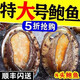 【特大號】鮮活大鮑魚新鮮冷凍個大鮮活海捕超大鮑魚非活體 活凍大鮑魚8-10頭