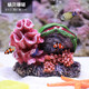 異景園 仿真珊瑚礁石魚(yú)缸造景假山貝殼假珊瑚魚(yú)缸裝飾水族箱海水缸擺件 蝸貝珊瑚