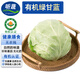 聽蔬有機(jī)綠甘藍(lán)1斤 圓白菜洋卷心菜 有機(jī)認(rèn)證蔬菜無農(nóng)殘?jiān)欣嫌咨r菜 1斤左右