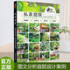 超大開本【當(dāng)天發(fā)】【官方原版全新塑封當(dāng)天發(fā)貨】私家庭院 別墅豪宅花園庭院日式庭園  日式庭院 私家小院  品私家庭院 日本禪境景觀  禪庭書藉 9787568007801