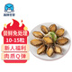 海鮮世家三去鮑魚肉 100g嘗鮮裝 10-15粒 火鍋燒烤食材  貝類海鮮生鮮