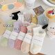 雅鹿10雙女士襪子女短襪夏季薄款船襪春天情侶白色隱形運動(dòng)短筒襪 默認色 10雙 均碼