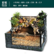 易萌 烏龜缸生態(tài)雨林飼養缸雙過(guò)濾免換水龜缸深淺水龜雨林造景水陸缸 雙過(guò)濾60cm套餐