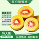 鮮窩窩 紅心獼猴桃 奇異果河南南陽(yáng)西峽特產(chǎn)水果禮盒禮物禮品送禮 20枚特大果（單果100-130g）
