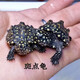 萌龜飼家正宗斑點(diǎn)烏龜池龜滿(mǎn)天星龜星點(diǎn)龜深水吃糞寵物活物 4-5厘米 1只單身龜