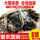 【活蟹】陽澄小斌大閘蟹 鮮活精挑特大螃蟹 公蟹母蟹生鮮水產(chǎn)禮盒 精品特大全母蟹4.0-4.3兩 八只裝