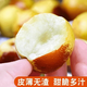 鮮級佳山東沾化冬棗新鮮大棗冰糖脆甜紅棗甜包郵孕婦水果當季水果脆青棗 【較甜】實(shí)惠超值 凈重4.5斤