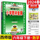 薛金星小學(xué)教材全解六年級(jí)下冊(cè)數(shù)學(xué)輔導(dǎo)資料書(shū) 西師版