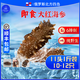 俄珍堡俄羅斯野生即食海參刺參大紅參生鮮海鮮口感勁道零添加寶寶輔食 大紅參11頭1斤裝（10-12只）