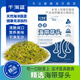 千海藍(lán)海帶芽頭海帶苗頭鹽漬嫩苗正宗涼拌新鮮海帶頭福建霞浦特產(chǎn) 海帶芽頭250gx1袋