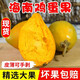 海南蛋黃果【順豐空運多地隔日達】獅頭果仙桃 時(shí)令新鮮水果 應當季海南雞蛋果5斤營(yíng)養果熱帶孕婦水果 5斤