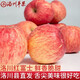 天天惠鮮達(dá)陜西洛川紅富士時(shí)令蘋果水果禮盒裝脆甜冰糖心蘋果生鮮水果新鮮 10斤70～75mm彩箱禮盒凈重8.5斤