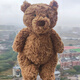 JELLYCAT正品jellycat巴塞羅熊玩偶大號南瓜熊草莓熊毛絨公仔蜜蜂小熊玩具 巴塞羅熊-28cm（贈防塵袋）