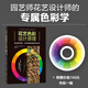 花藝色彩設(shè)計(jì)原理