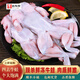 墨妍御鮮 去頭去腳去皮去內臟牛蛙肉 四去牛蛙生鮮新鮮冷凍 精品活殺款3斤裝（3-6只）