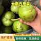 【野生五丫果】【烏鴉果 】五椏果 烏椏果 烏丫果 無(wú)椏果 3個(gè)