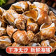 新鮮冷凍花螺海鮮海螺香螺東風(fēng)螺貓眼螺貝類(lèi)水產(chǎn)海螺絲順豐 1斤花螺