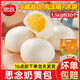 思念奶香小饅頭早餐半成品學(xué)生兒童營養(yǎng)方便花卷速凍面點冷凍食品 思念奶黃包1500g（約50個）