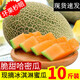 爾蝶新鮮哈密瓜曉蜜25號(hào)哈密瓜海南當(dāng)季新鮮水果蜜瓜網(wǎng)紋瓜帶箱10斤裝 臻選9斤裝【店長(zhǎng)力薦】（3-6個(gè)）