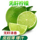 泰國品種無籽青檸檬1斤 塔西提小青檸香水檸檬 新鮮水果 1斤凈重約5-9個